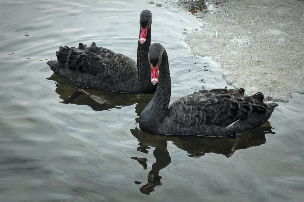 Photograph by Екатерина Рябинина