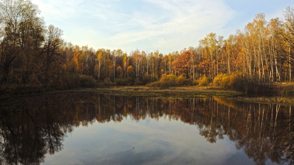 Фотография автора Коротков Алексей