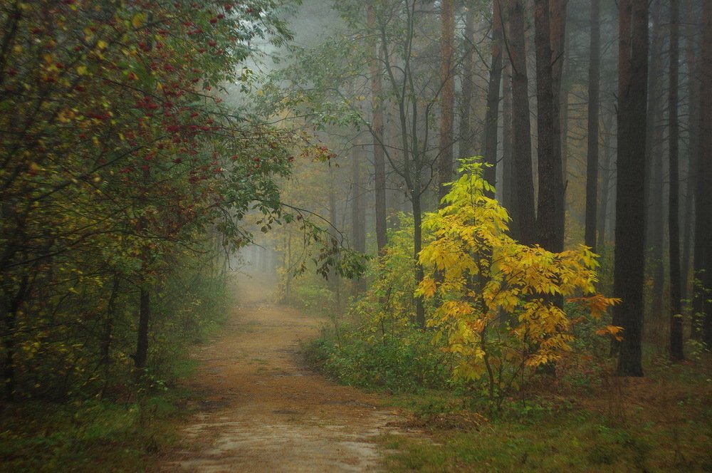 Photograph by Сергей Шляга