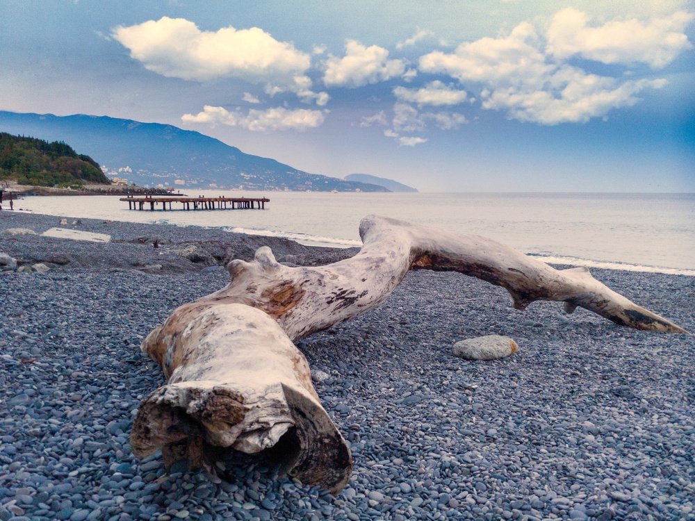 Течение времени