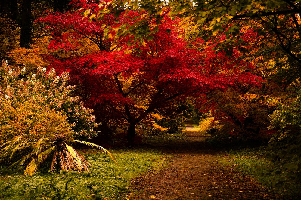 Photograph by Agnieszka Szadowiak