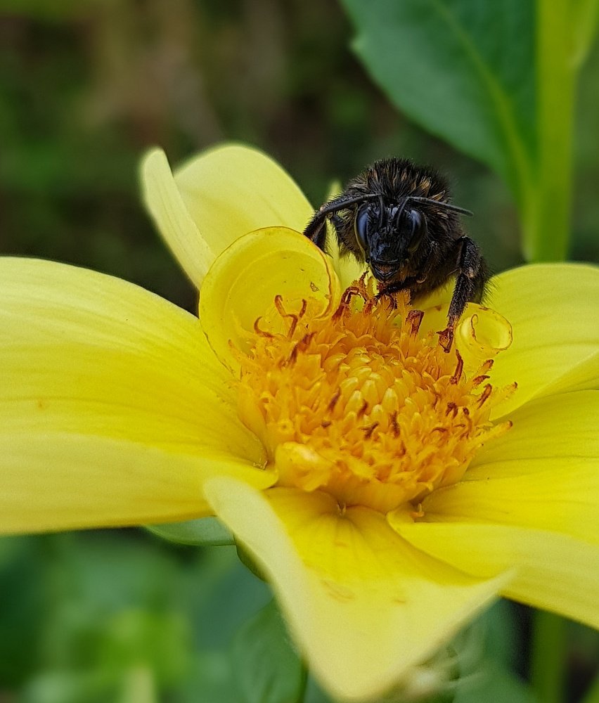 Photograph by Ольга Пумочка-13