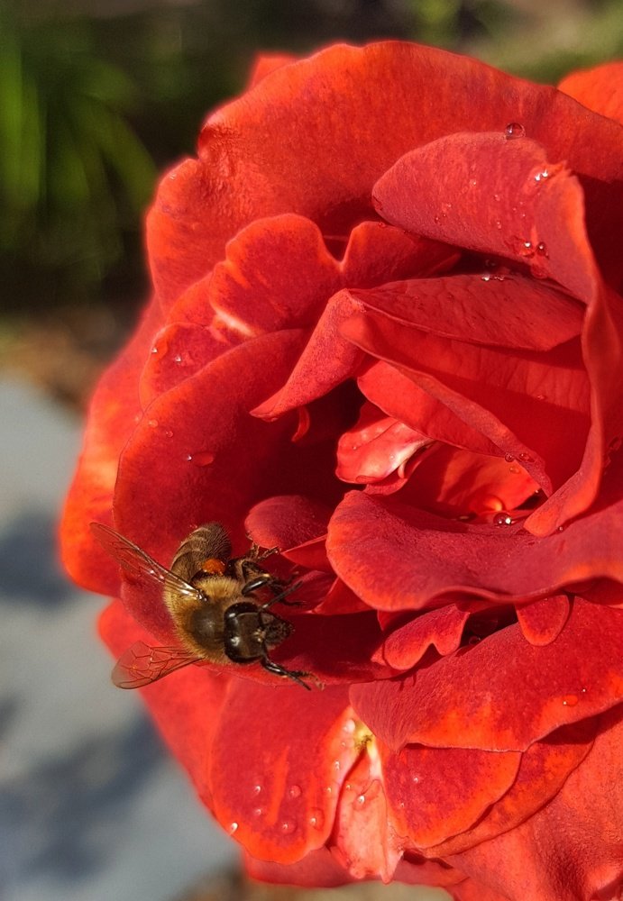 Photograph by Ольга Пумочка-13