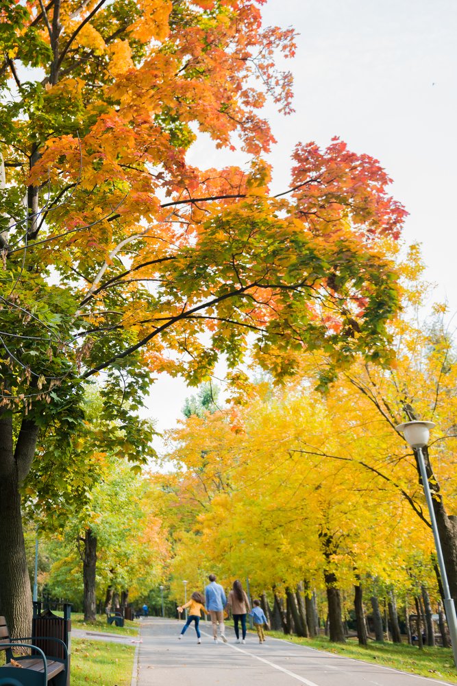 Photograph by Ирина Лопаткина