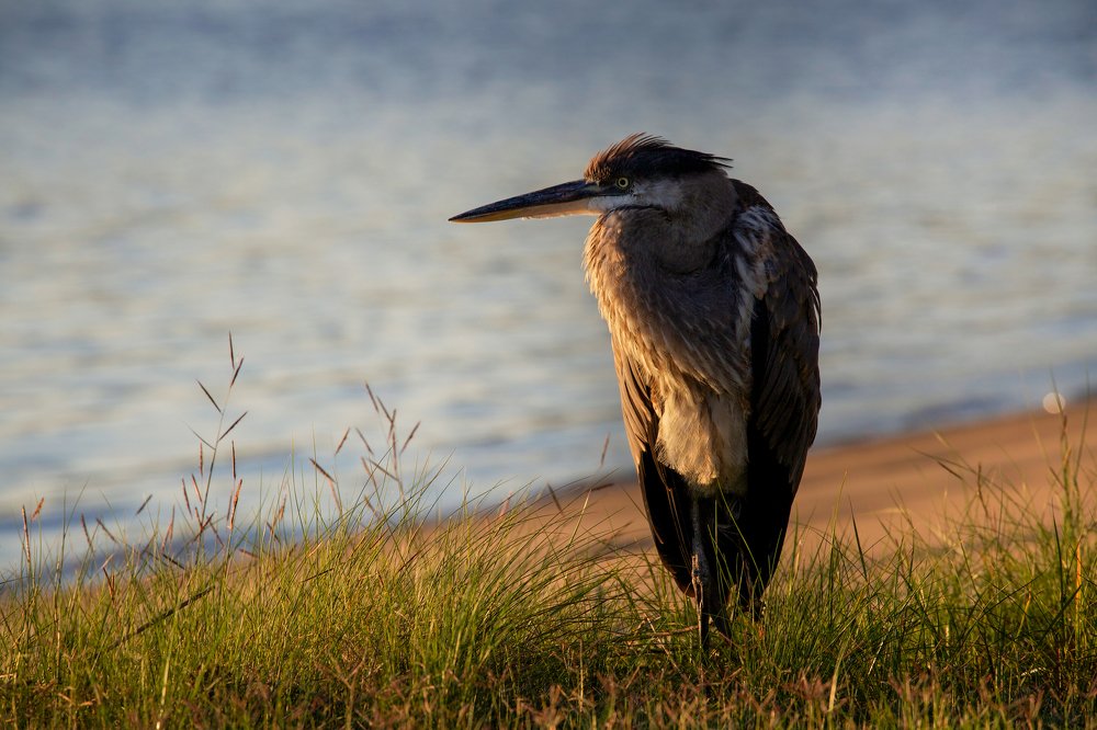 Photograph by Мила Миронова
