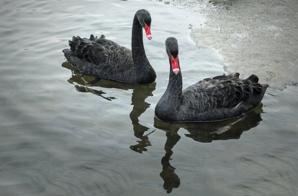 Photograph by Екатерина Рябинина