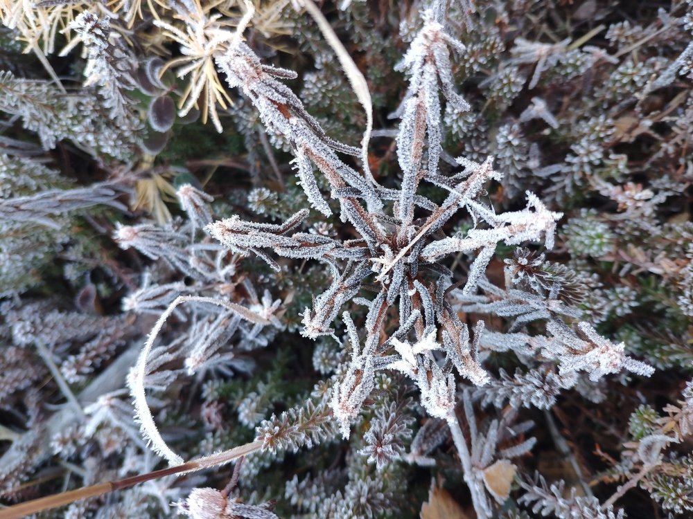 Photograph by Лидия Коршкова