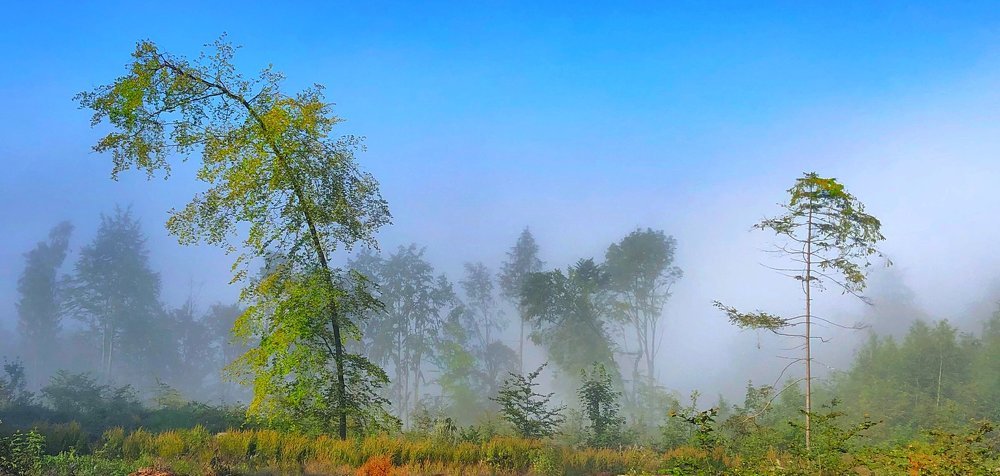 Уходи туман, уходи..