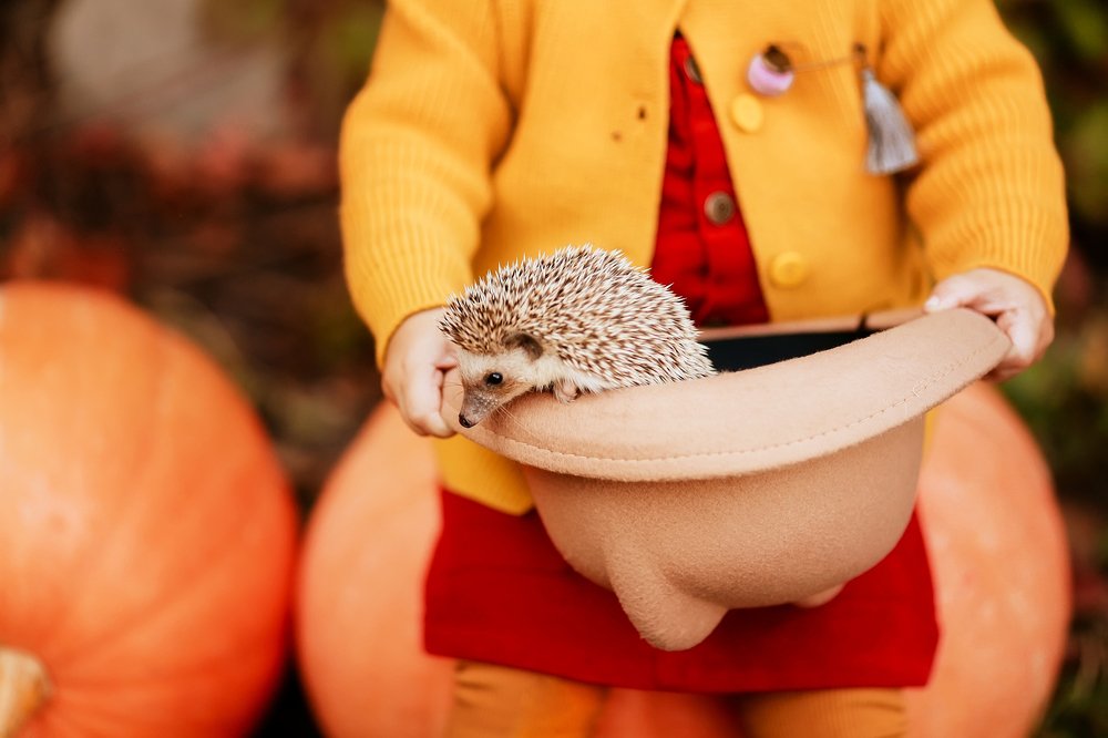 Photograph by Анна Гусева