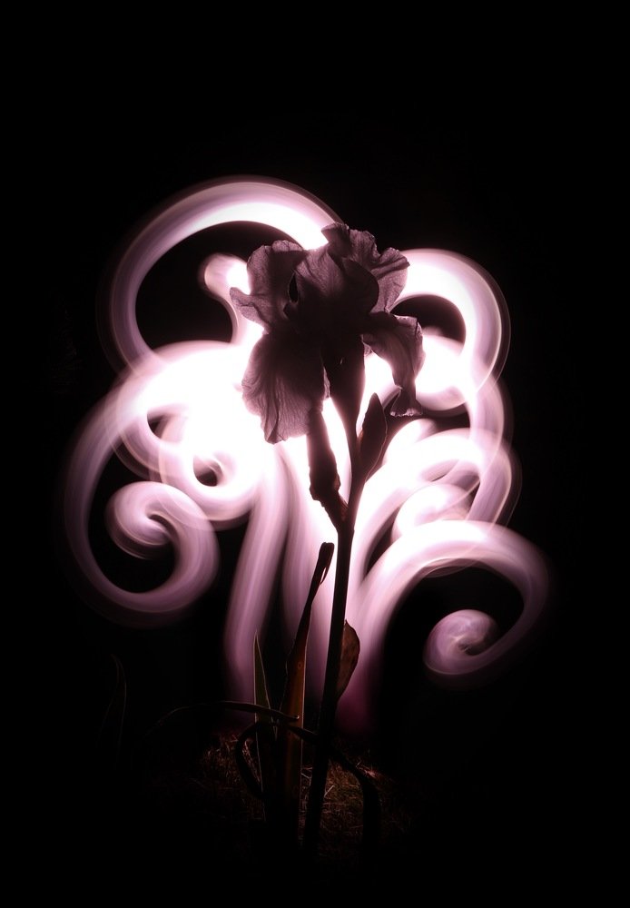 Photograph by Евгения Гудкова