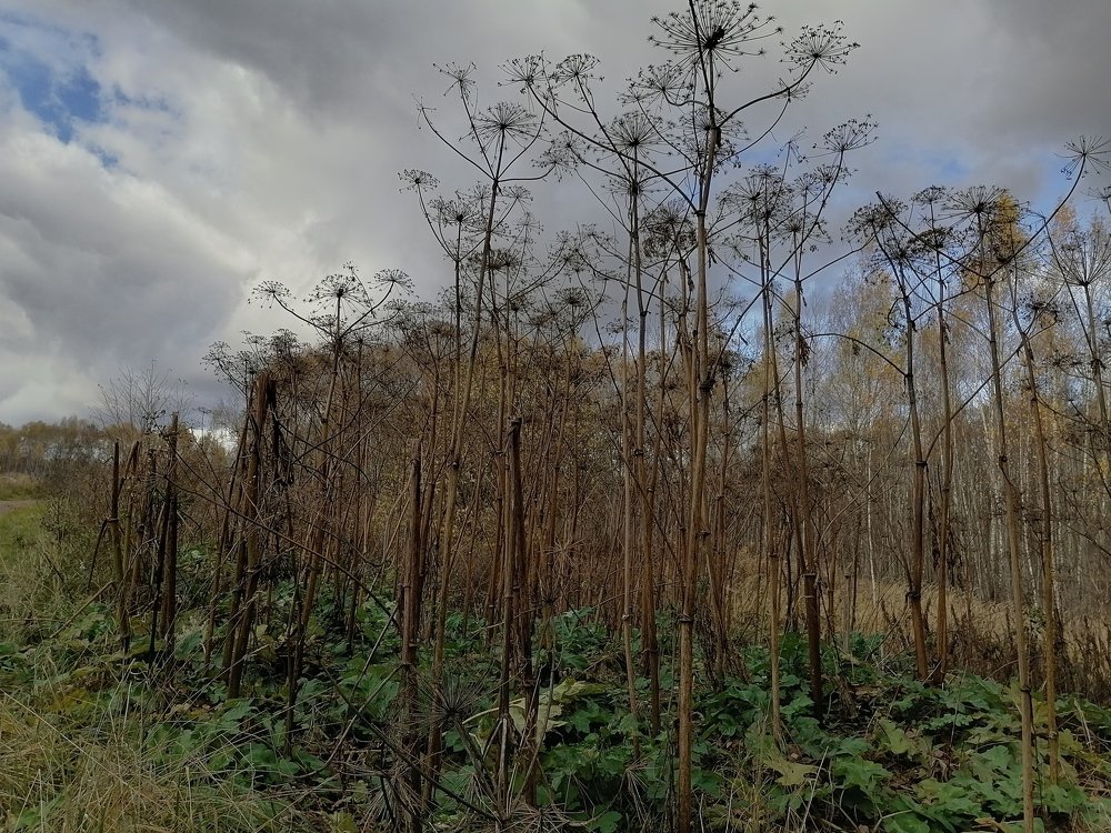 Photograph by Демьян Лопатов