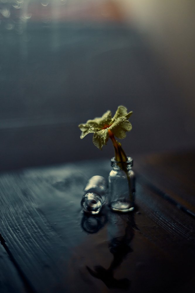 Photograph by Илья Лисаускас