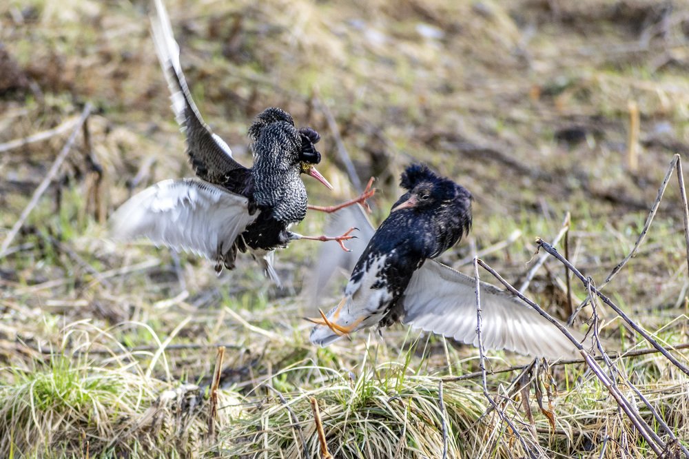 Photograph by Александр Пономарёв