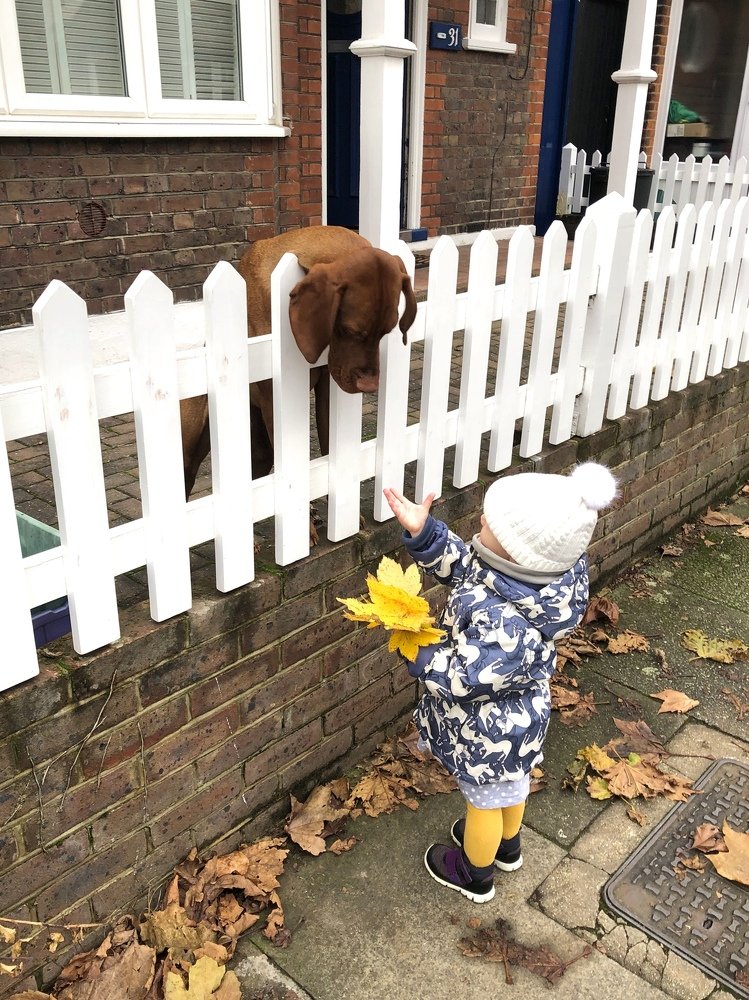 Фотография автора Оксана Мерзликина