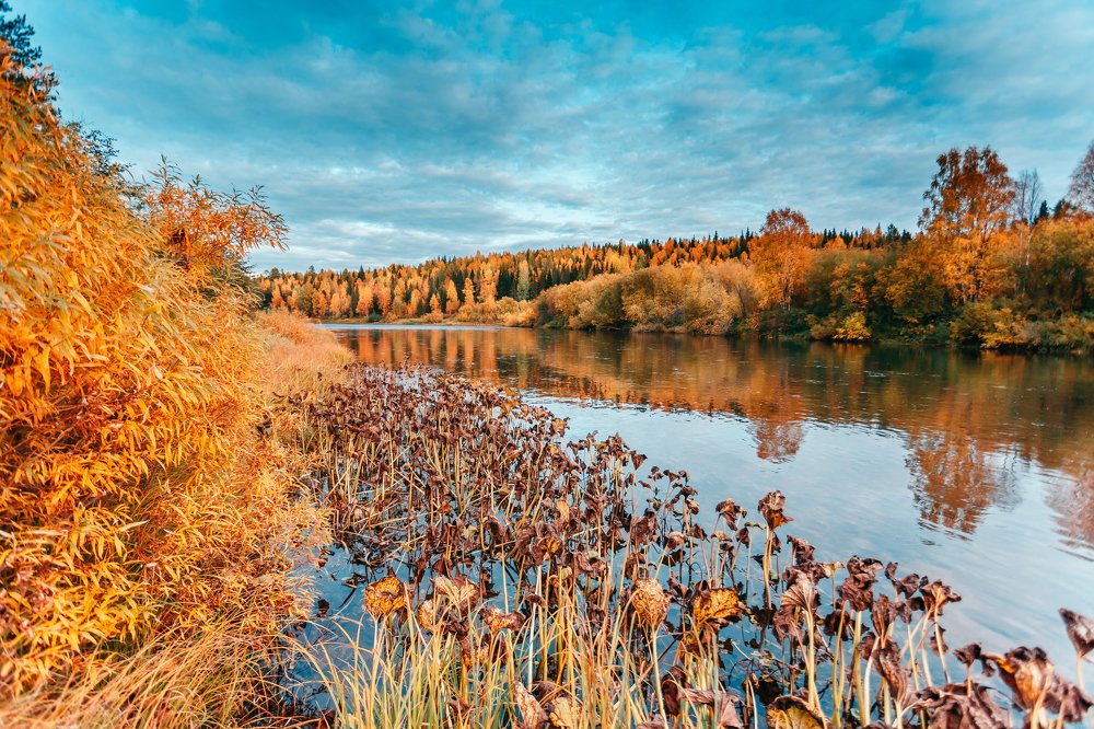 Photograph by Илья Лисаускас