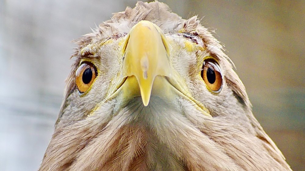 Photograph by Sergey Chebanenko