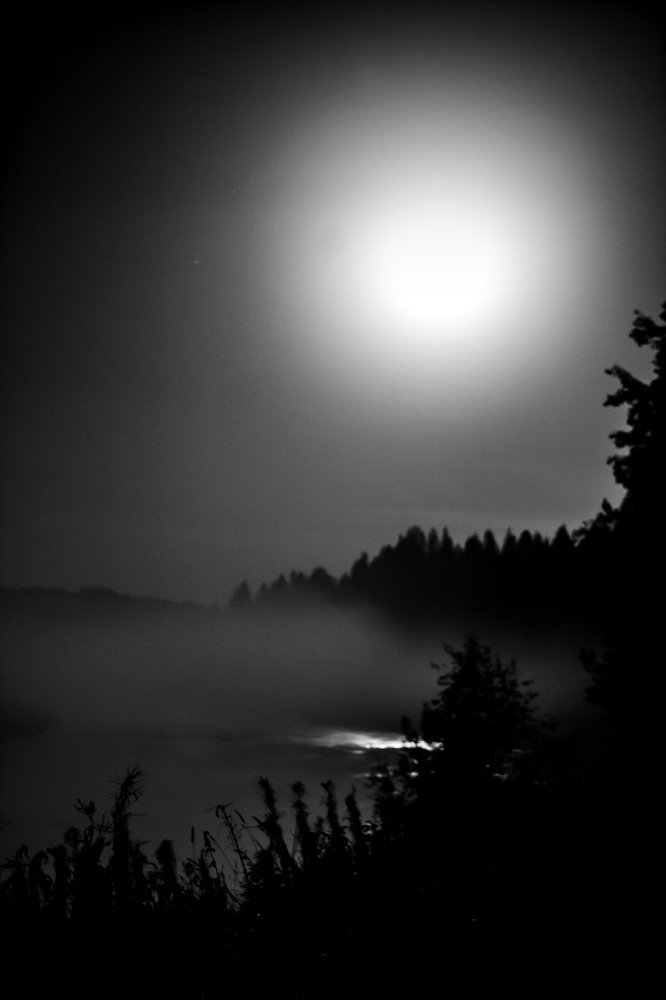 Photograph by Илья Крыжин