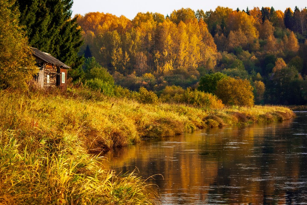 Photograph by Илья Крыжин