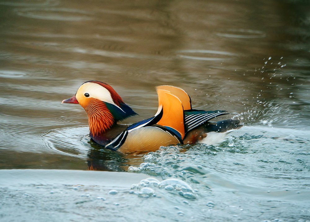 Photograph by Матвей Матвеев