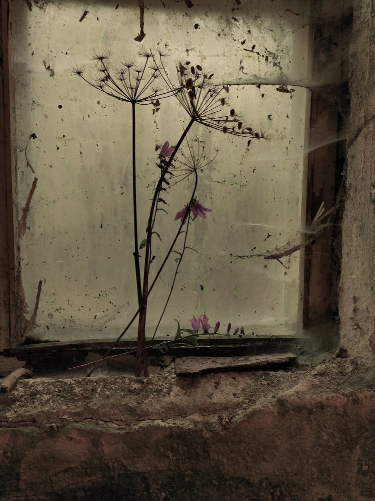 Photograph by Svoboda Andreeva