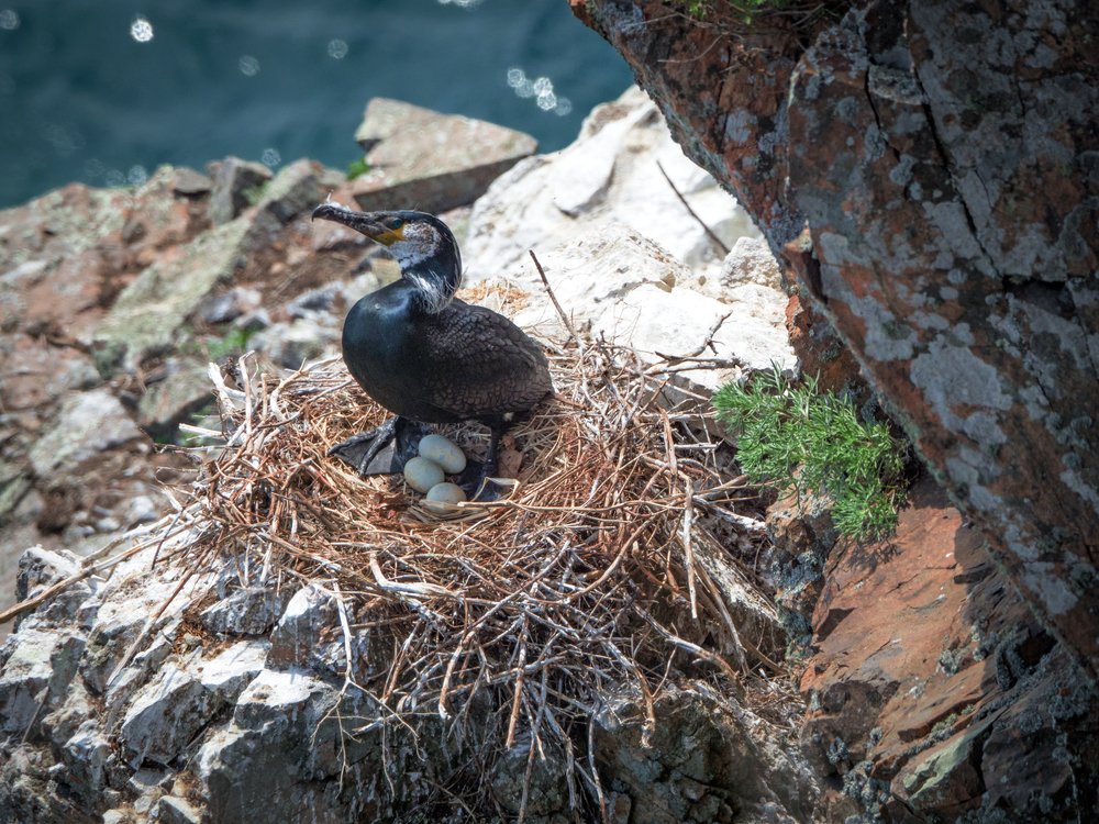 Photograph by Матвей Матвеев