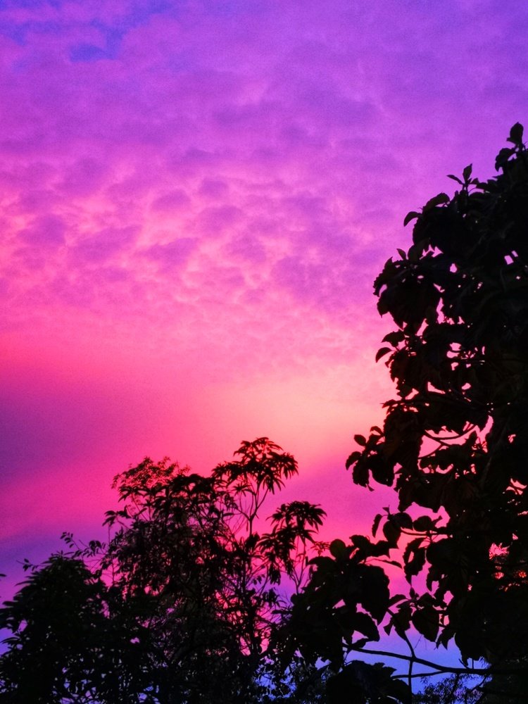 Taste like ice cream afternoon