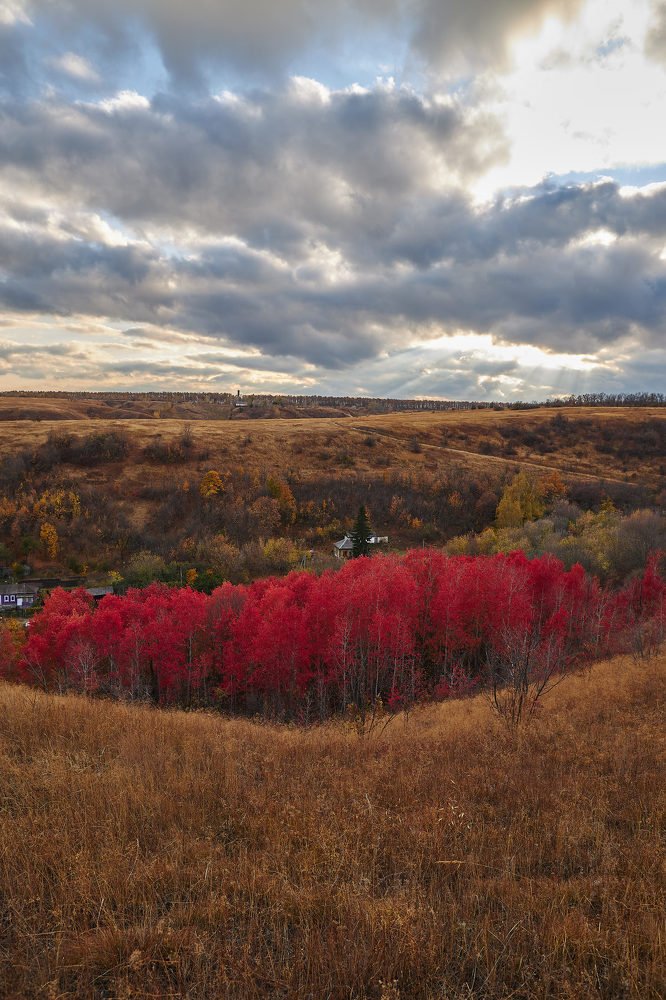 Photograph by Дмитрий