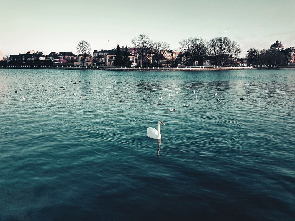 Photograph by Владимир Алейников