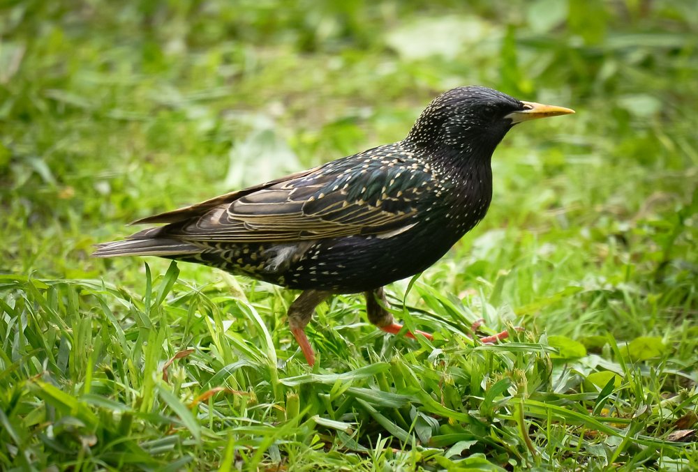 Photograph by Ольга Мендоса