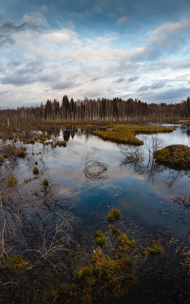 Photograph by Dmitry Gorbachev