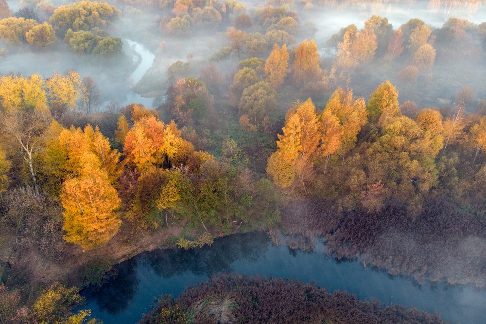 Photograph by Dmitry Gorbachev