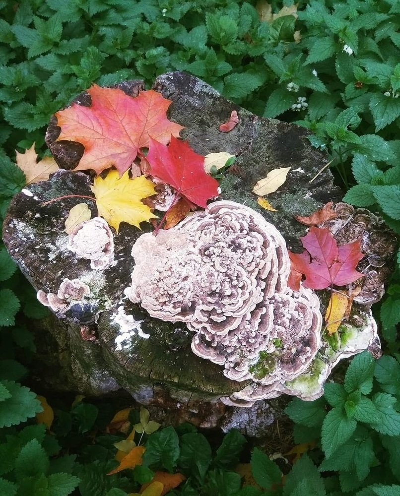 Photograph by Вита