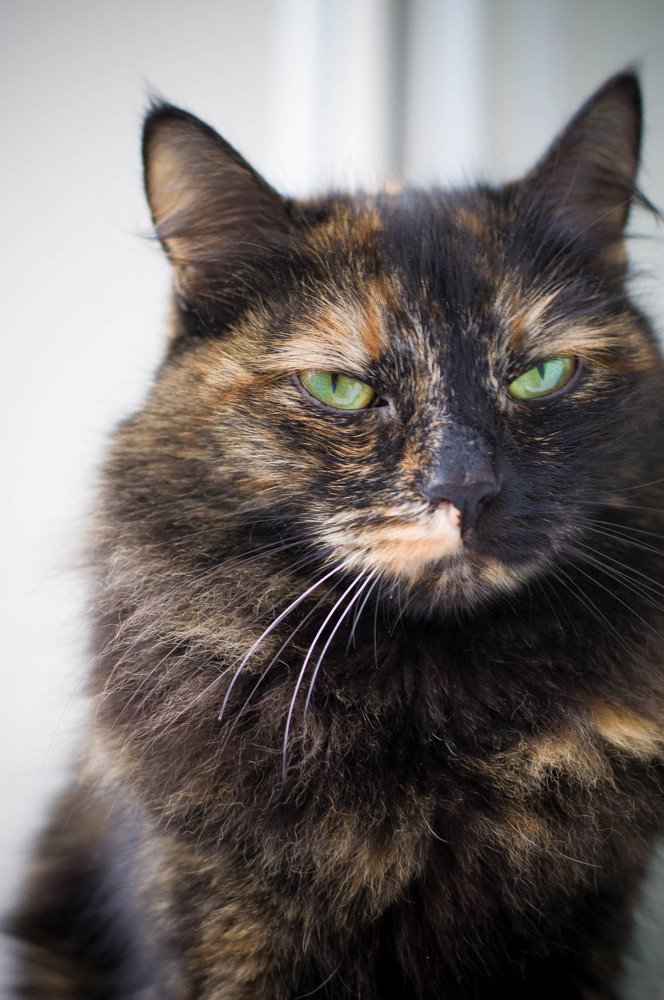 Photograph by Ирина Лопаткина