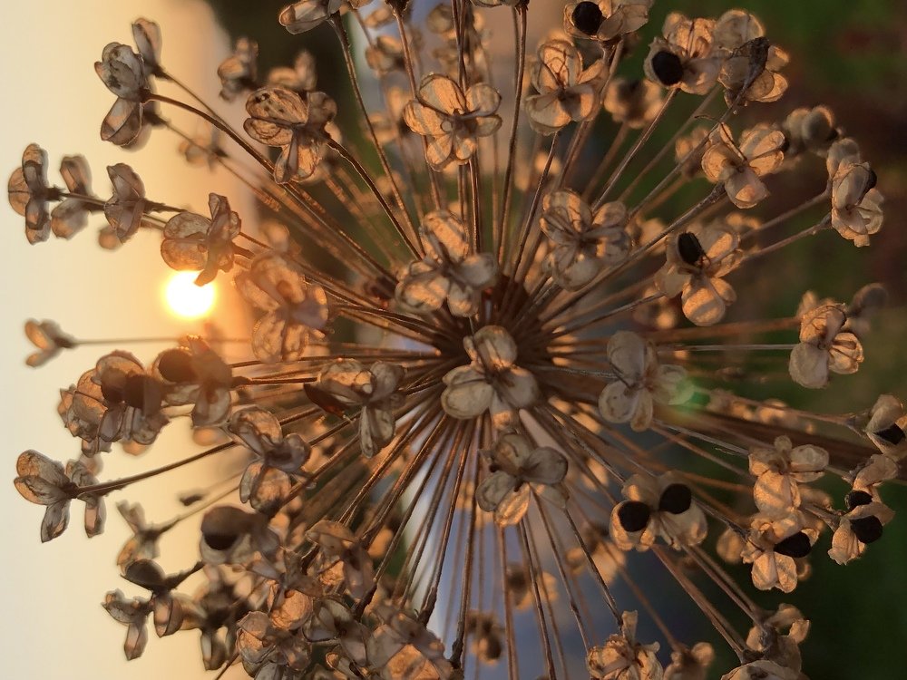 Летний закат