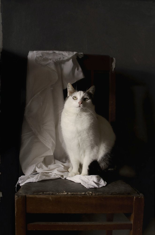 Фотография автора Коршак Елена