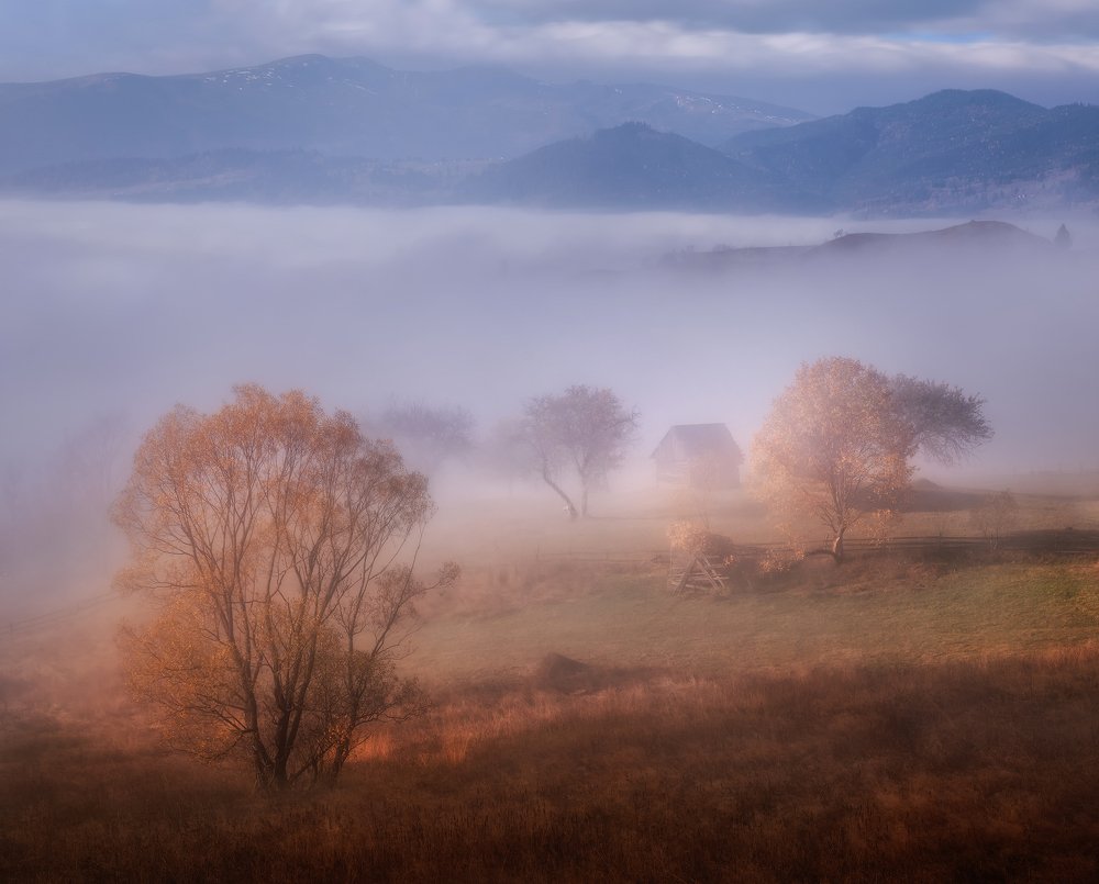 Photograph by Ольга Рудченко
