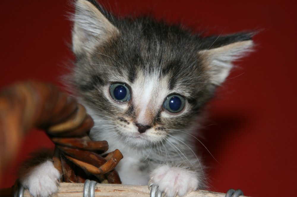 Photograph by Светлана Олина