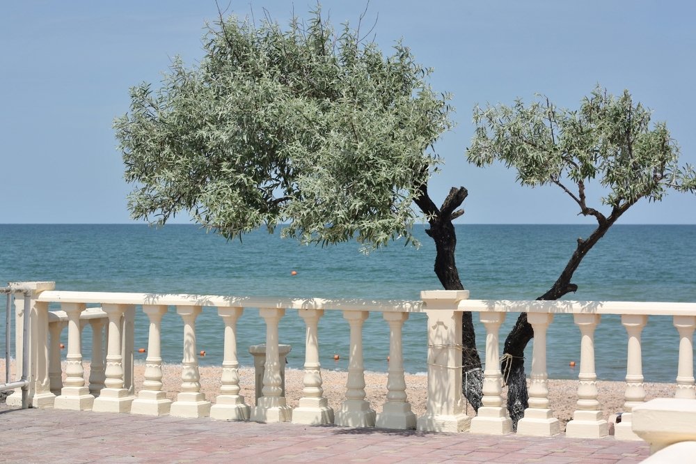 Лох на пляже