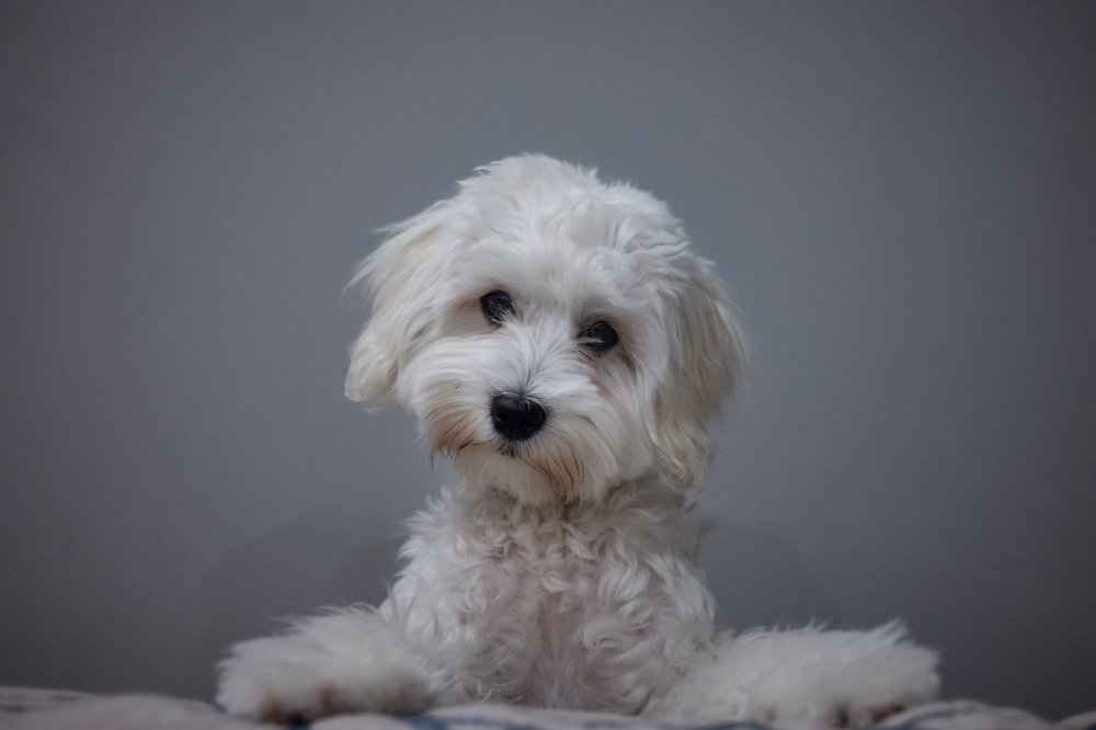 Photograph by Артур Газиев