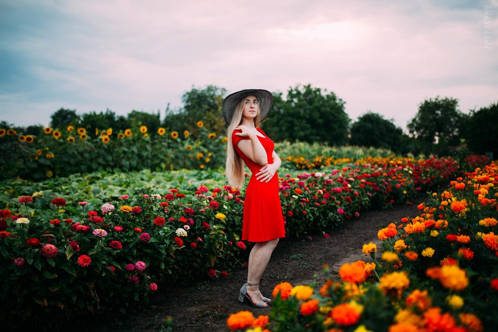 Фотография автора Вадим Гриценко