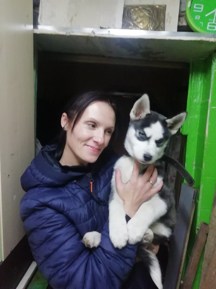 Photograph by Анастасія Ященко
