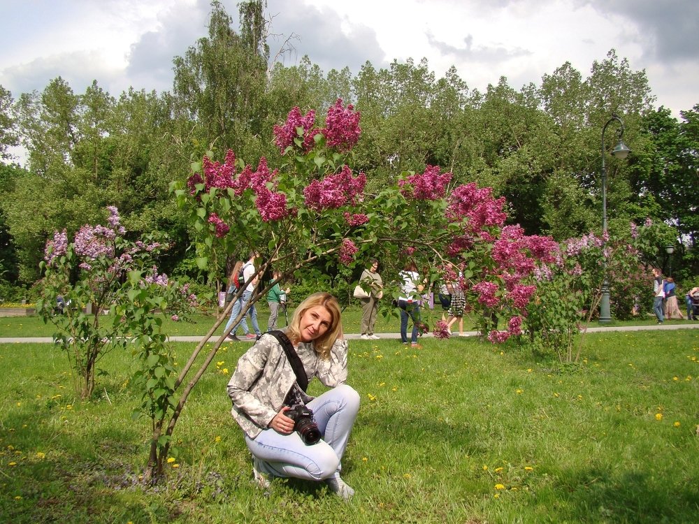 В Сиреневом саду
