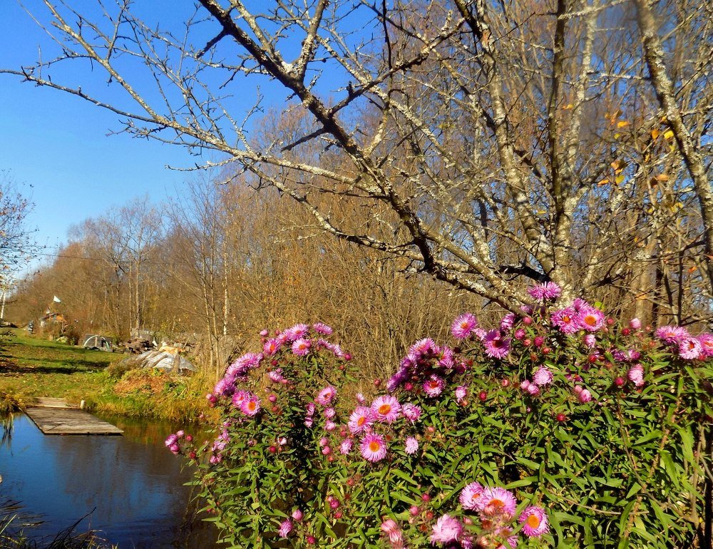 Photograph by Валентина Смирнова
