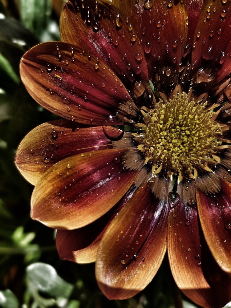 Photograph by Ольга Пумочка-13