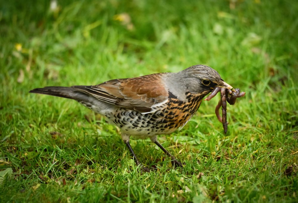 Photograph by Ольга Мендоса