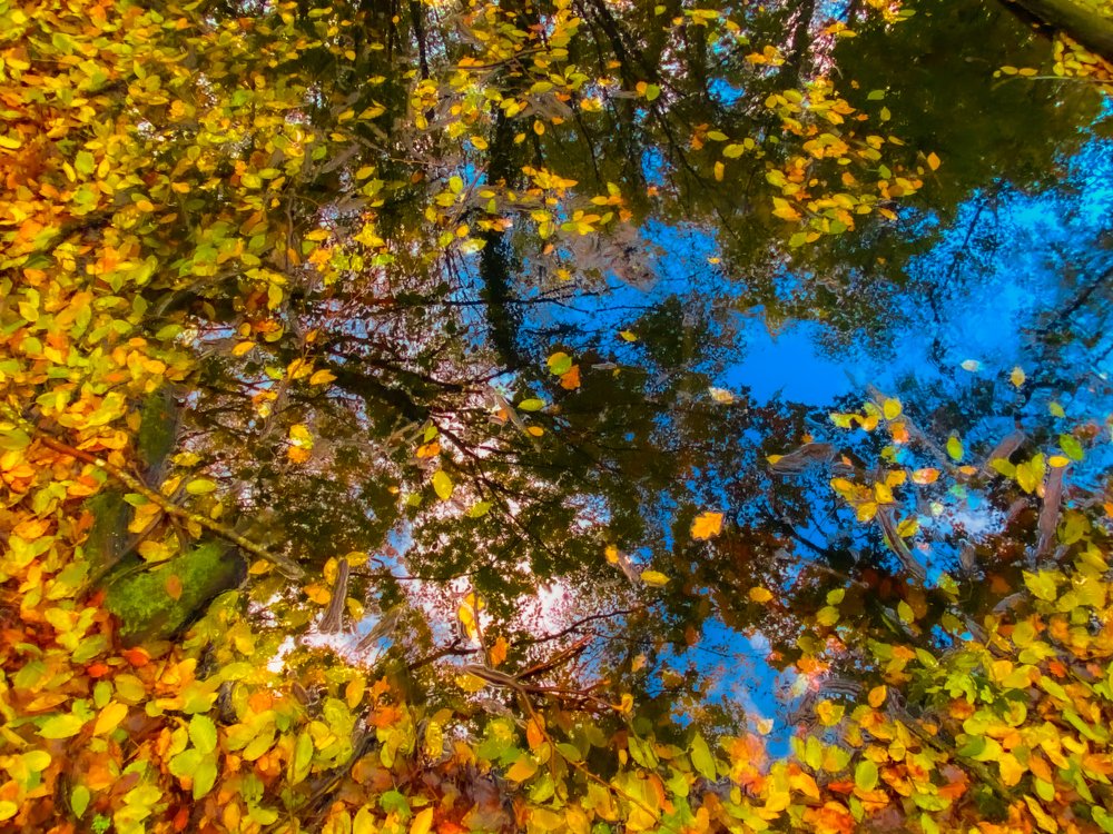 Photograph by LYUDMYLA POKRYSHEN