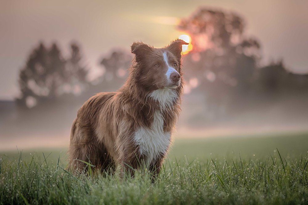 Photograph by Guy Krier