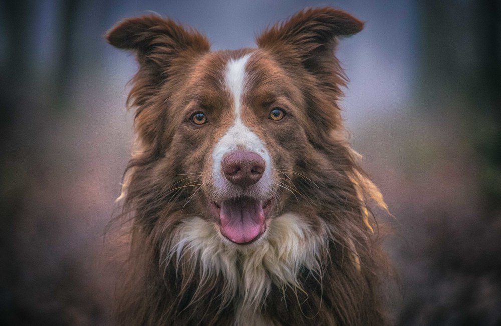 Photograph by Guy Krier