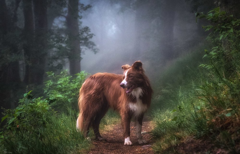 Photograph by Guy Krier