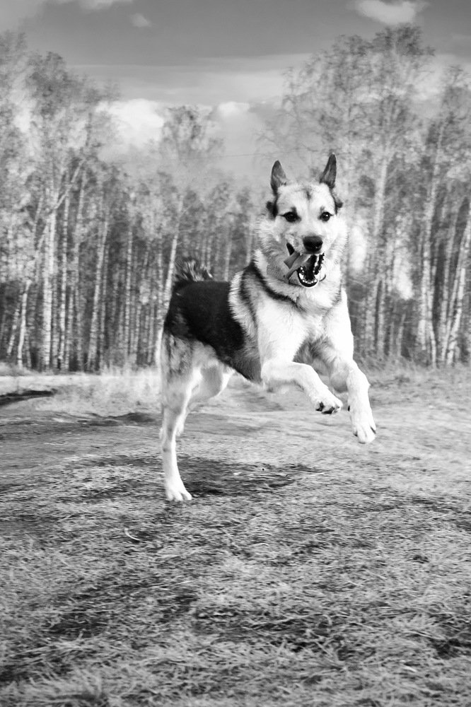 Photograph by Анастасия Полищук